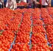 Produce tomatoes in 90 days or step aside – FABAG fires warning at Agric Ministry