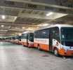 Government confirms arrival of 100 new buses to ease transport challenges