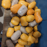 Police intercept narcotics, arrests five suspects in Upper West