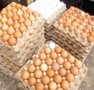 Egg glut hits Ghana as Burkina Faso import ban bites