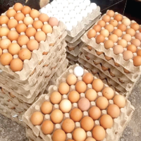 Egg glut hits Ghana as Burkina Faso import ban bites