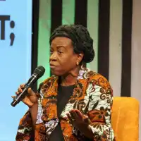 Lack of political will fuels illegal mining crisis – Awula Serwah