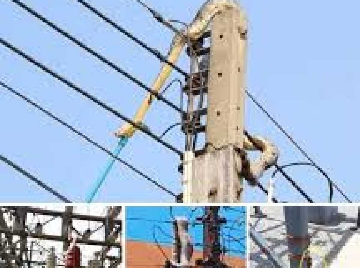 Pythons take over transformer as ECG staff risk life to restore power in Ahodwo