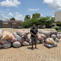Police arrest 3 over suspected Indian hemp haul and GH¢100,000 bribery attempt