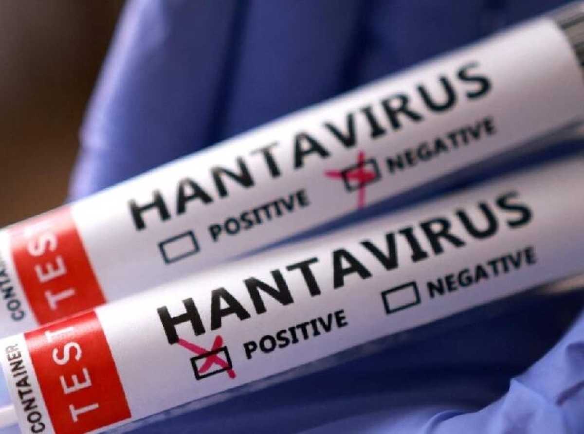No sign of larger hantavirus outbreak, says UN health agency