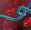 Health Ministry cautions public against spreading misinformation over Ebola outbreak in DR Congo