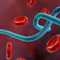 Health Ministry cautions public against spreading misinformation over Ebola outbreak in DR Congo
