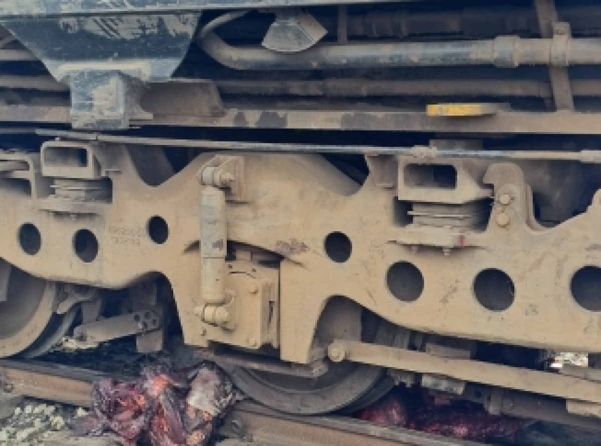 Tema-Accra bound train derails after collision with stray cattle at Avenor