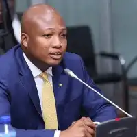 Ghana to launch first electronic visa system on Africa Day – Ablakwa announces
