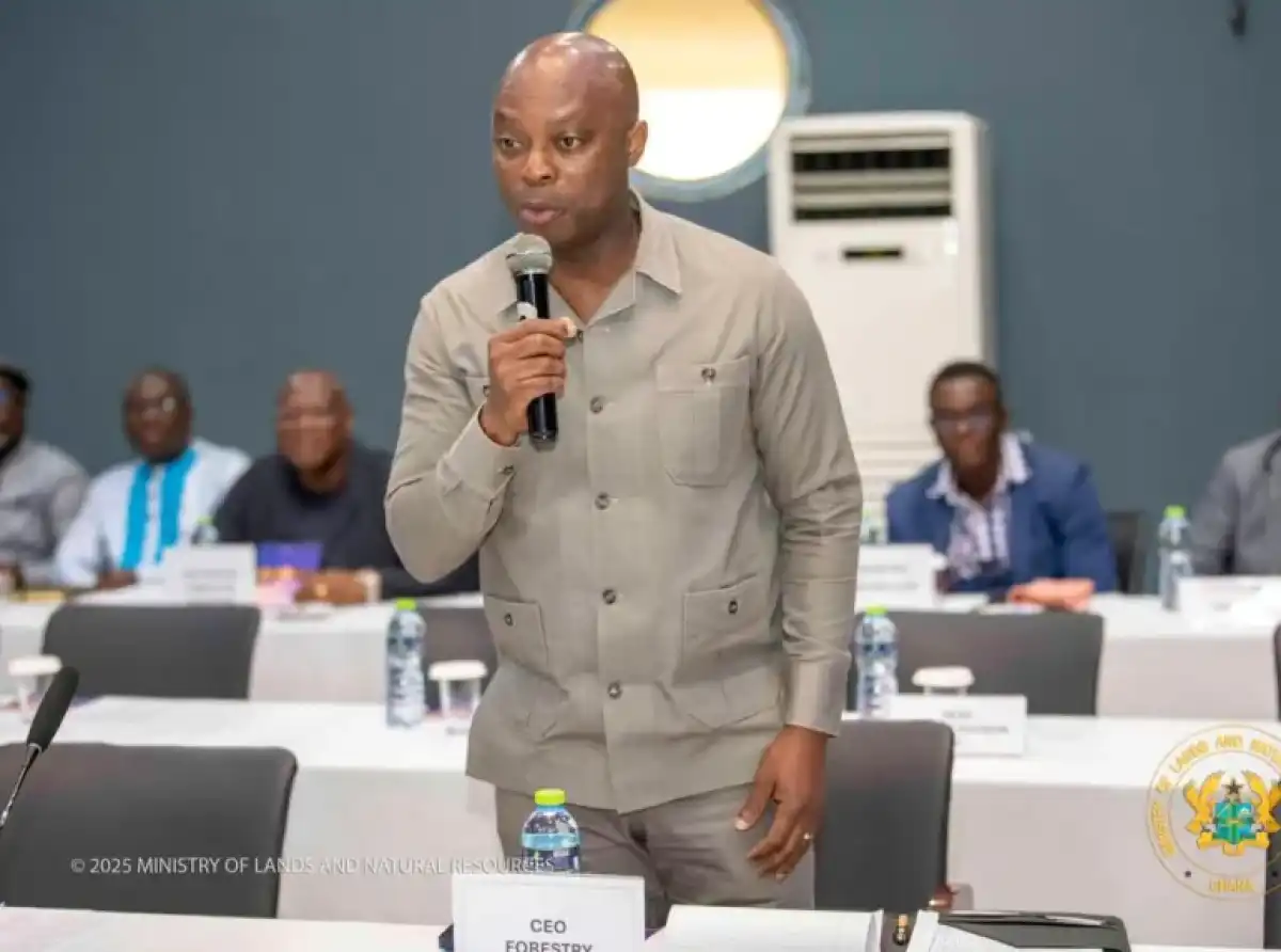 Forestry Commission CEO says over 350 private companies involved in forest plantations as sector generates $260 million