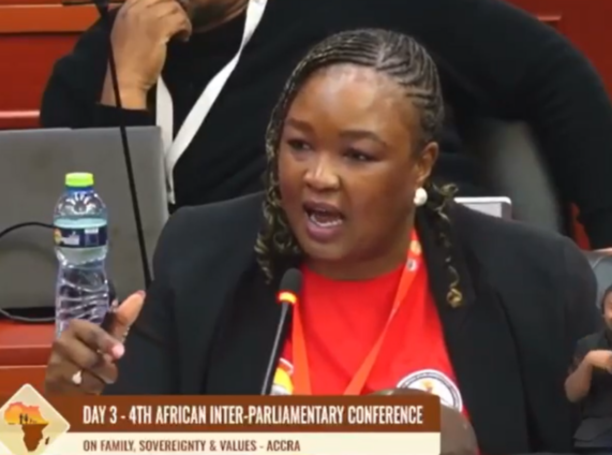 South Africa, Mozambique abstain from adoption of African Family Values Charter in Accra