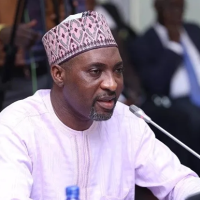 Private security companies have no right to carry guns – Muntaka