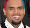Chris Brown ordered to pay housekeeper $13m after dog attack