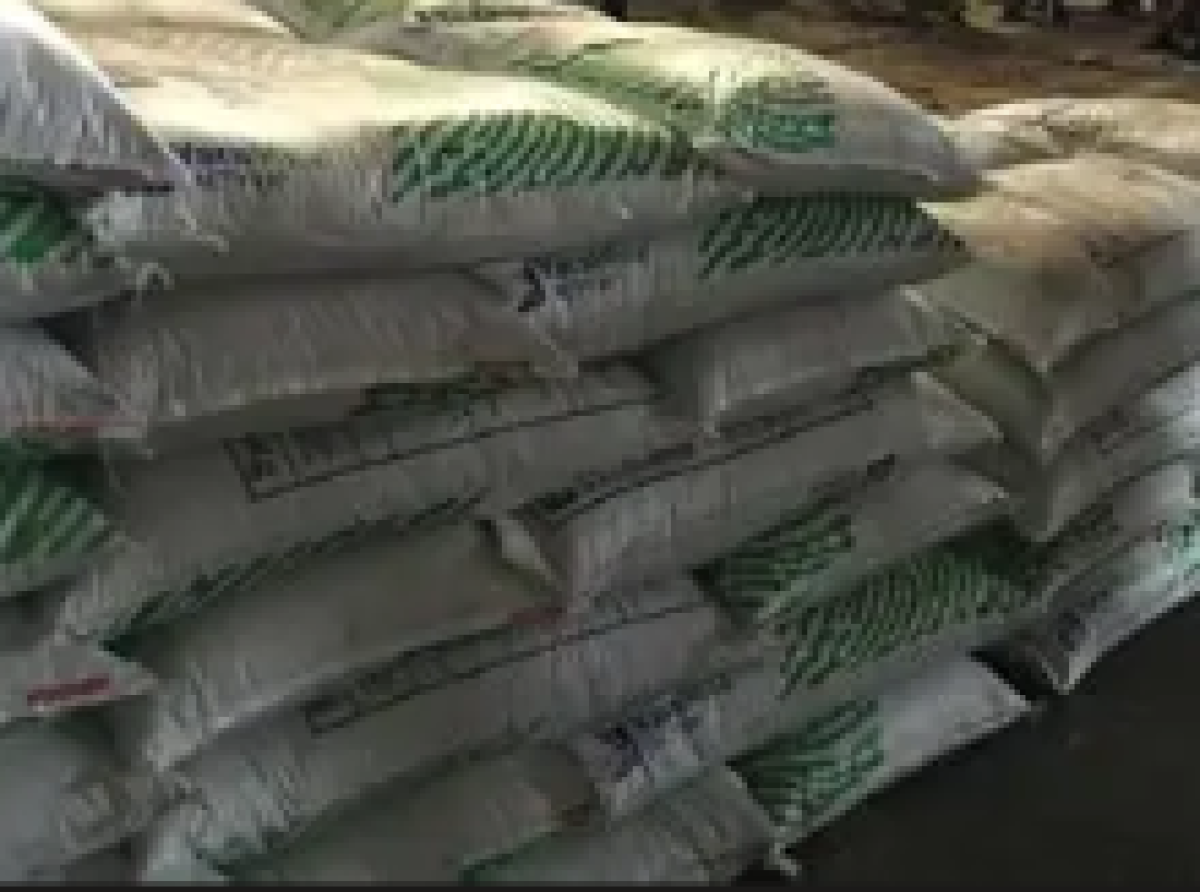 Every agricultural constituency has received 1,500 bags of fertiliser to support farmers – Agric Minister
