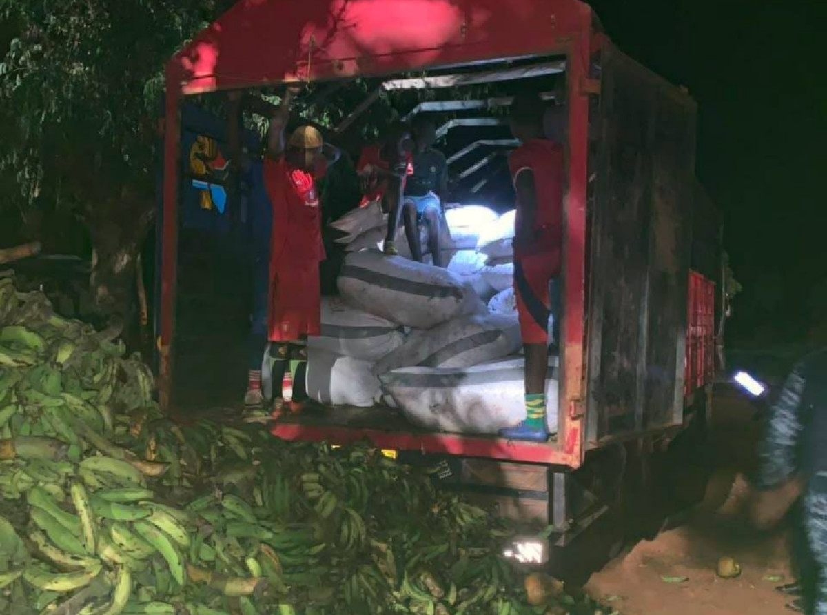 Police arrest four, intercept 118 bags of cocoa destined for Togo