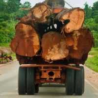 Forestry Commission warns timber operators over unsecured logs