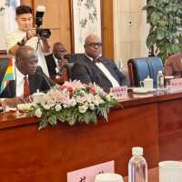 Ghana, China agree three-point strategy to tackle illegal mining
